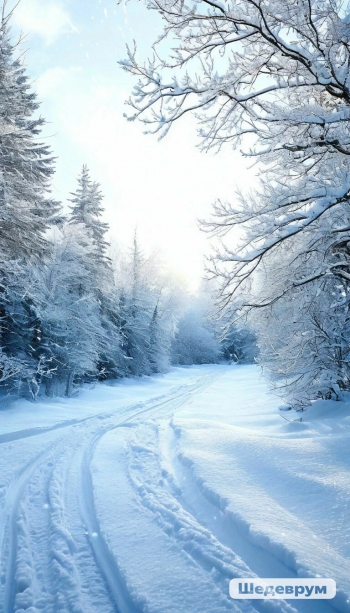 С новым годом!