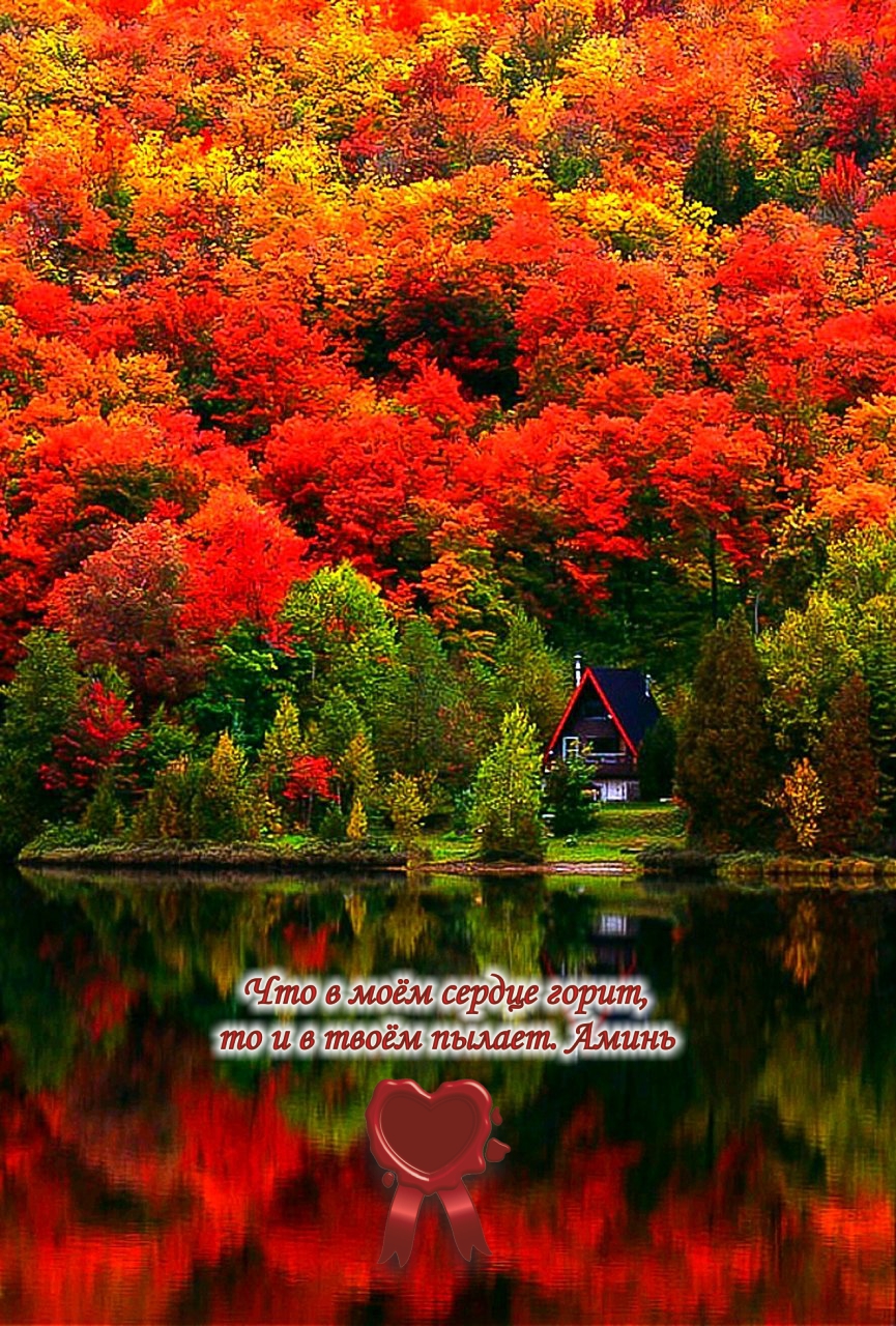 Красота и здоровье