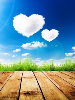 Любовь не приходит с условиями.