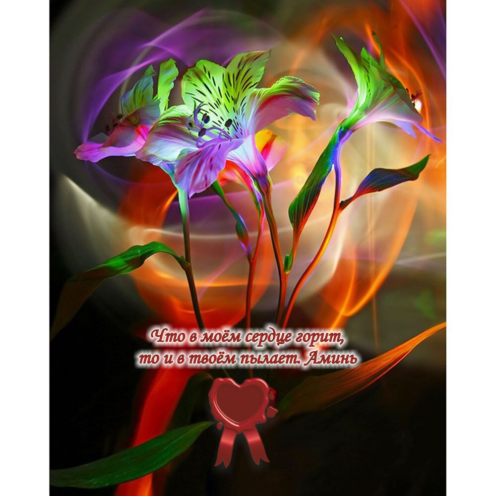 Жизнь яркая на столько- на сколько ты это видишь