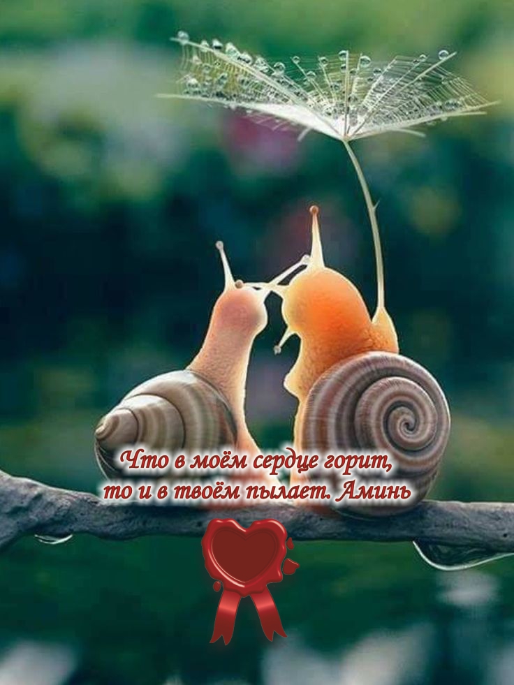 Любовь - это когда в одной судьбе умещаются двое.