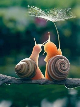 Любовь - это когда в одной судьбе умещаются двое.