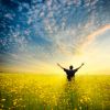 Мир принадлежит тому, кто ему рад.