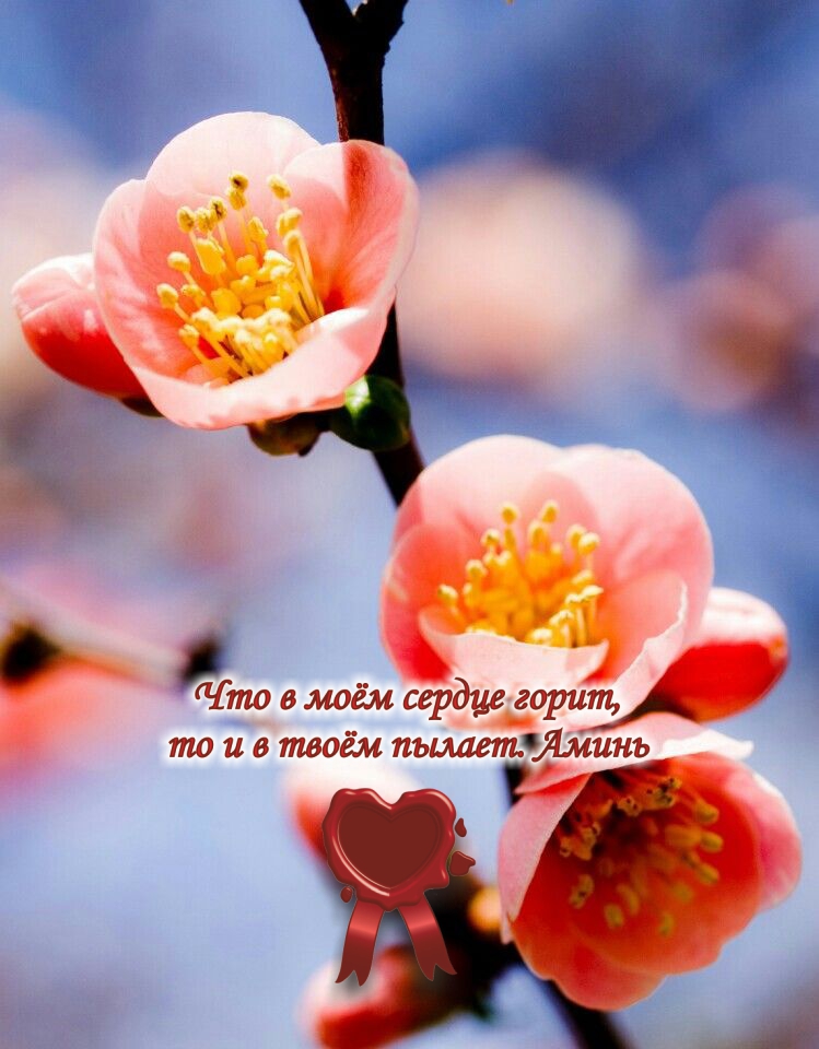 Пусть сердцу вечно снится май