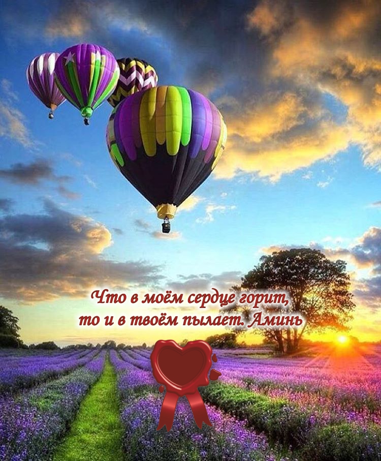 Радость &mdash; это итог. Счастье &mdash; это путь.