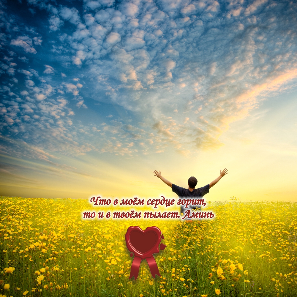 Мир принадлежит тому, кто ему рад.