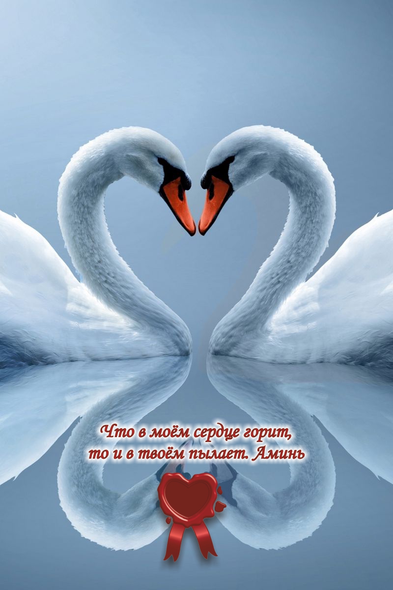 Я верен тому, кого люблю.