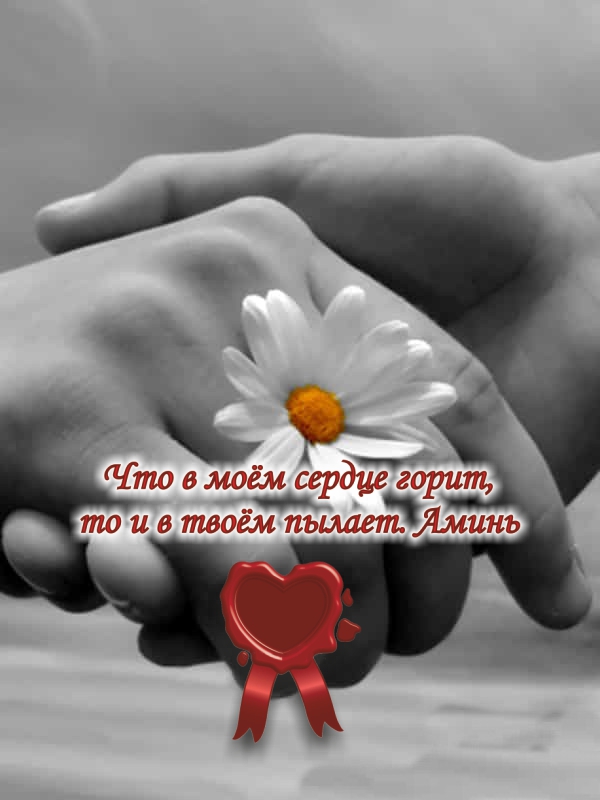 Верность- это не чувство&hellip; это решение&hellip;