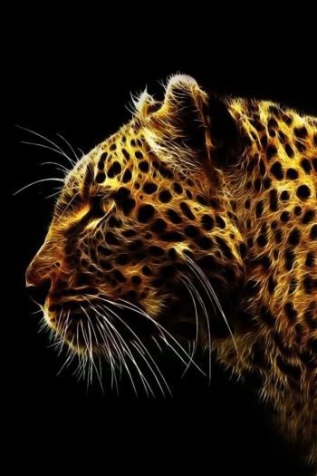 Красив и уверен в себе, как леопард