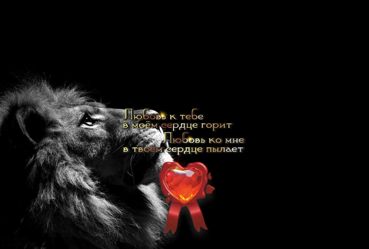 Лев под защитой высших сил