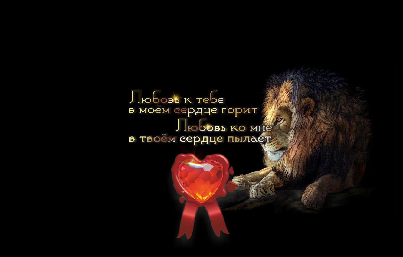 Львиное спокойствие