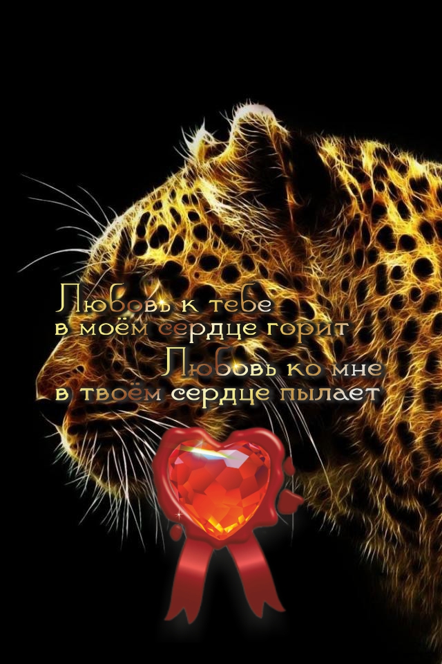 Красив и уверен в себе, как леопард