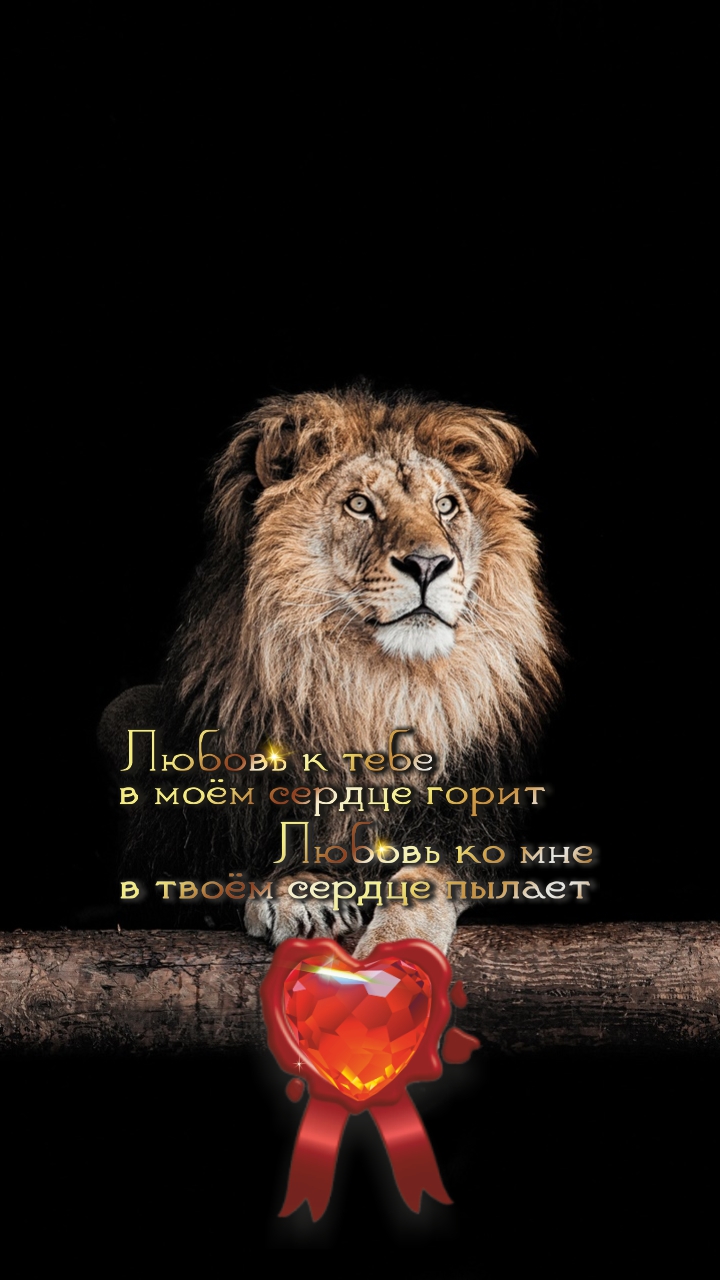 В тебе львиная сила духа