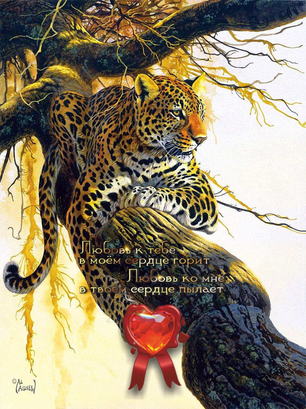 Спокойствие леопарда в твоем сердце