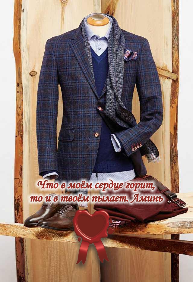 Я ношу лучшие мужские бренды