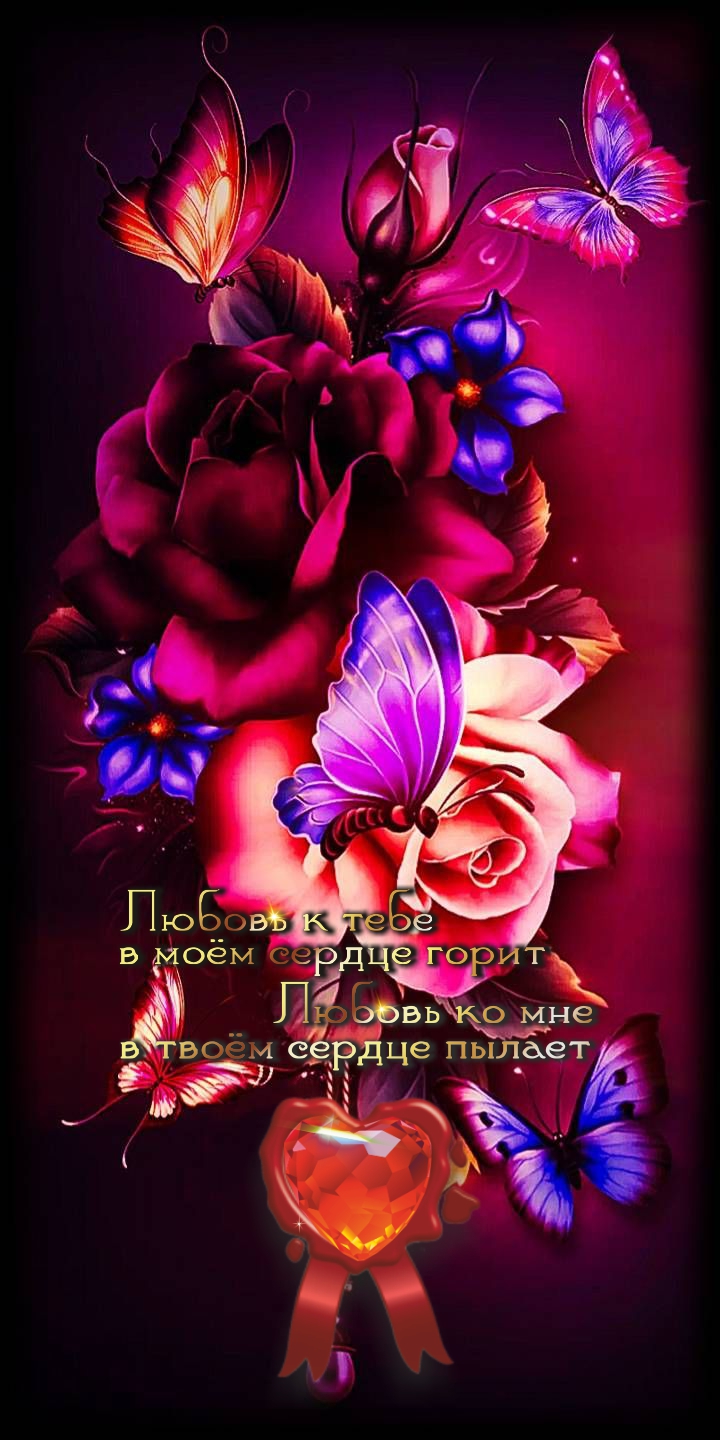 У бабочки не годы, а мгновения, &ndash; и ей хватает времени.