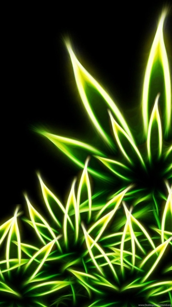 Сегодня выбираю радость.