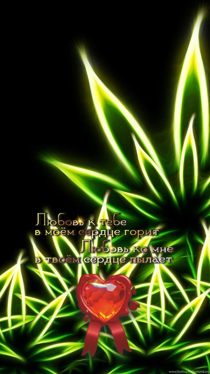 Сегодня выбираю радость.