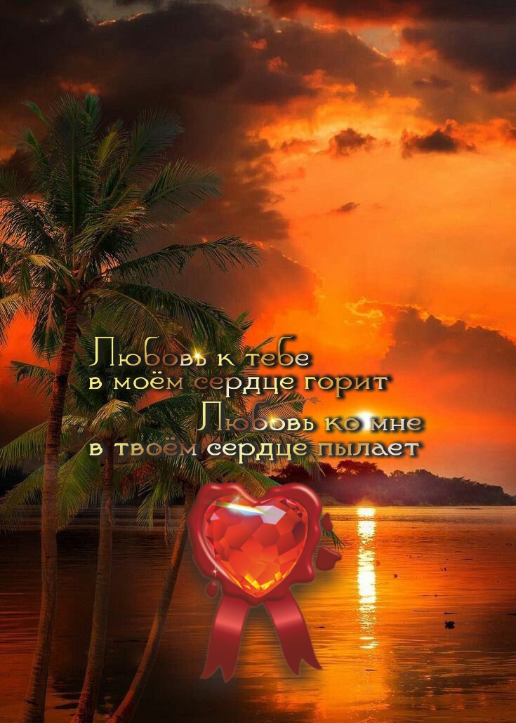 Когда искренне любишь природу, красоту найдешь везде.