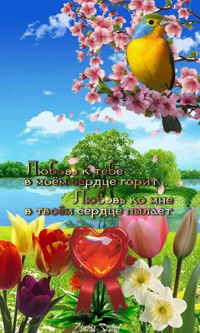 Пока есть возможность, живите весело, в радости!