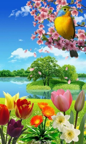 Пока есть возможность, живите весело, в радости!