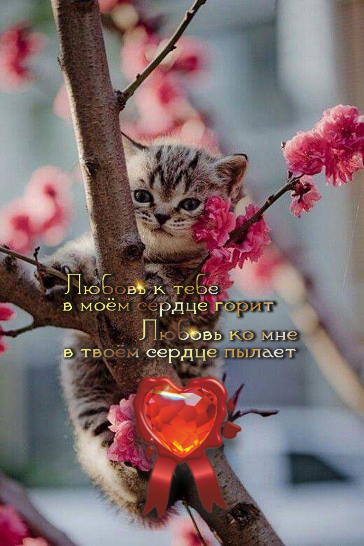 Честность и доброта усиливают красоту.