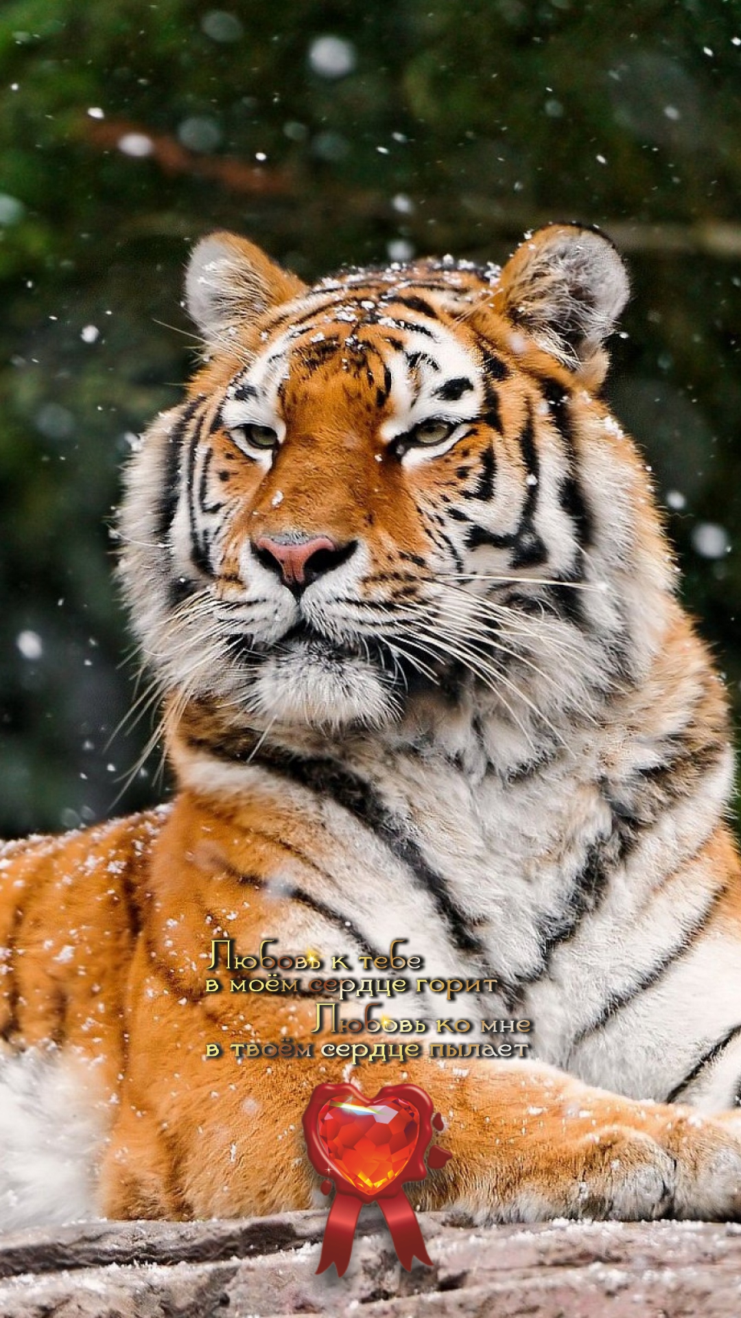 Нужна смелость, чтобы быть честным даже с собой.