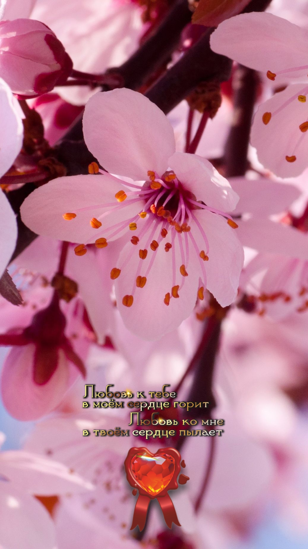 Прямота &mdash; ключ к любой дружбе.