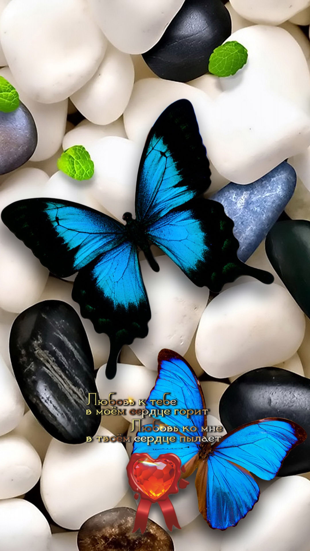 Честность и доброта усиливают красоту.