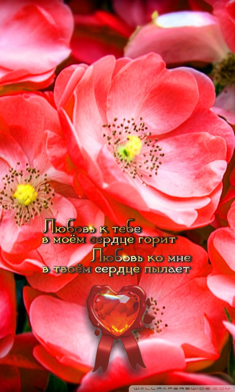 Здоровье с красотою неразлучны.