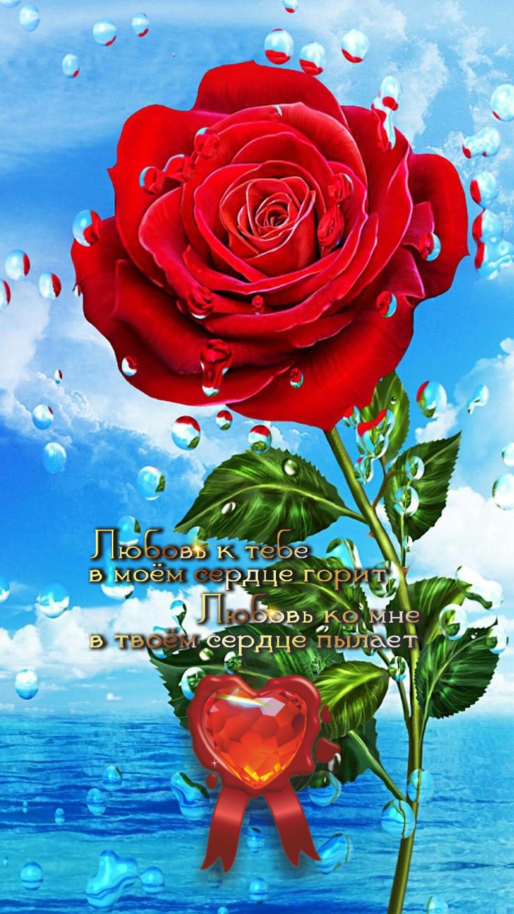 Красота роз дает им право на шипы.