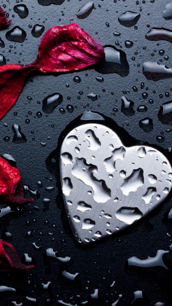 Мы есть друг у друга, и этого достаточно.