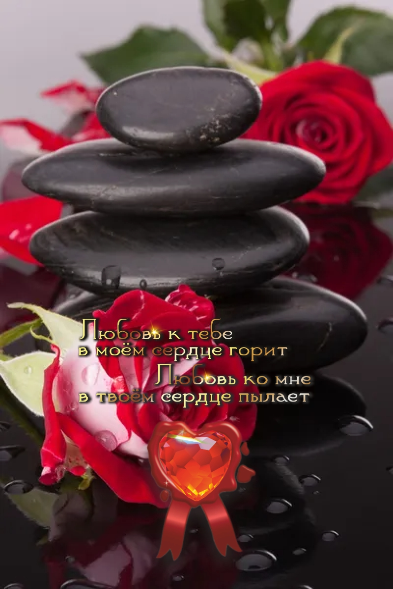 Никакие годы не стирают страниц, исписанных вместе.