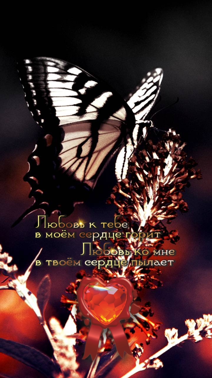 Даже на красный свет вместе идти не так страшно.