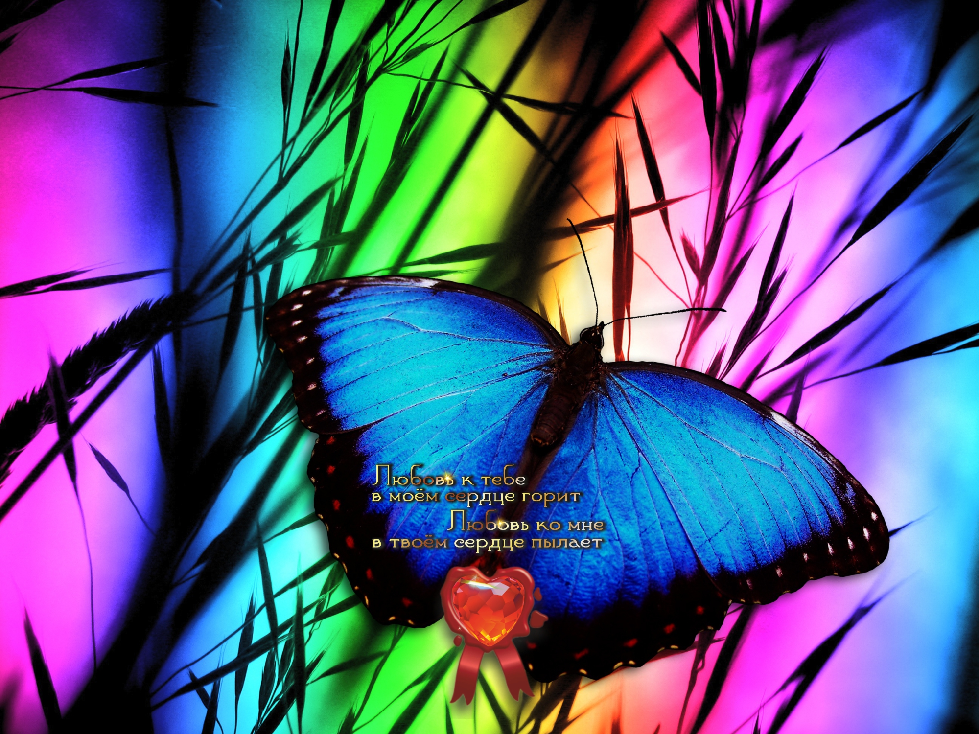 Все становится легче, когда ты вдвоем с кем-то.