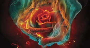 Любовь любви ни в чем не отказывает.