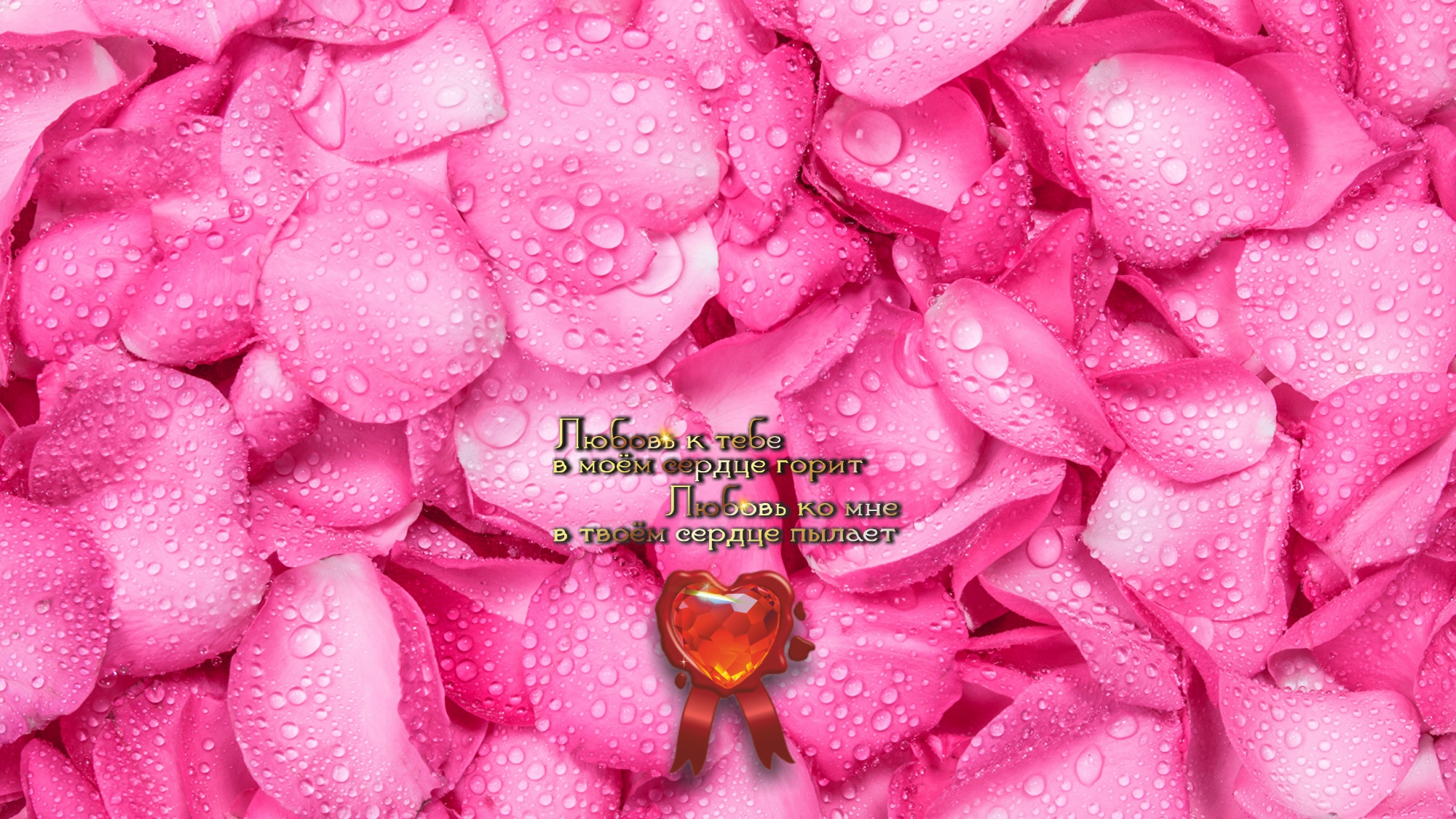 Пока есть возможность, живите весело, в радости!