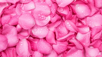 Пока есть возможность, живите весело, в радости!