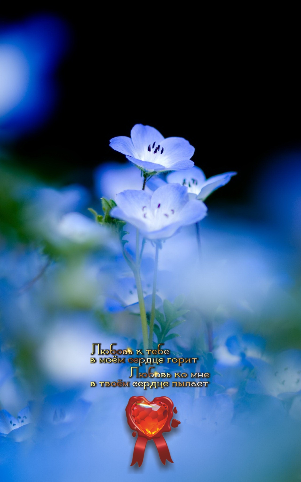 Маленькие радости однажды сложатся в большое счастье...