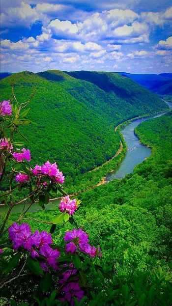 Прекрасное очищает наши сердца.