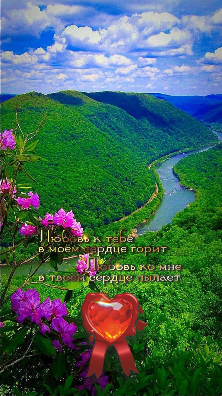 Прекрасное очищает наши сердца.