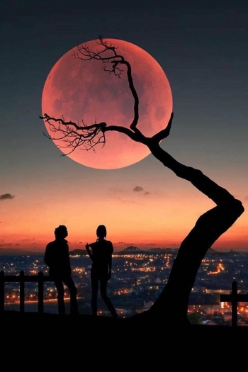 Дружеская любовь украшает Вселенную.