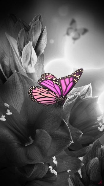 Ближе всего к великому стоит честность.