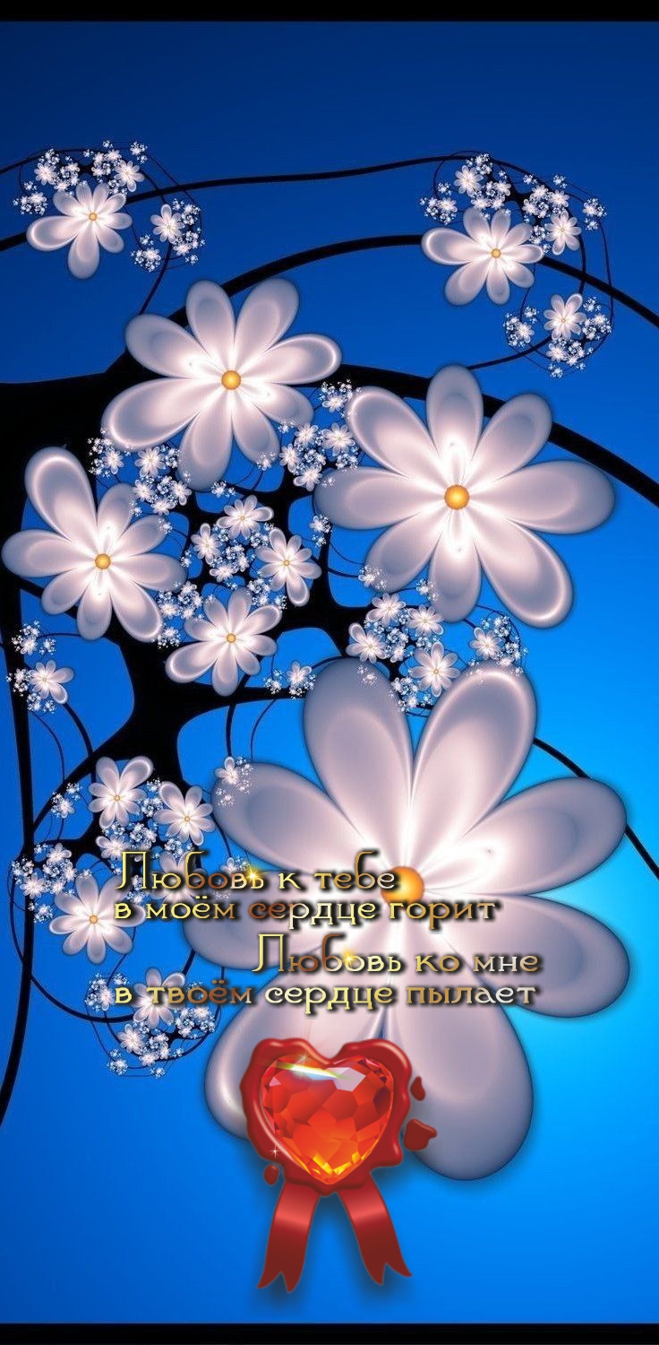 Благодарность &mdash; признак благородства души.