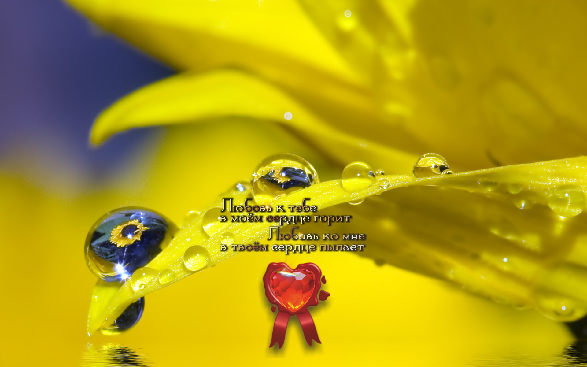 Благородным поведением можно завоевать даже врага.