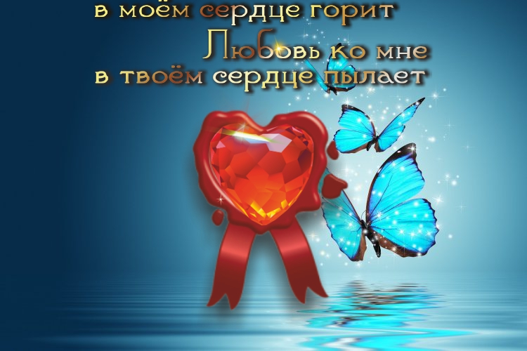 Счастлив тот, кто научился восхищаться, а не завидовать.