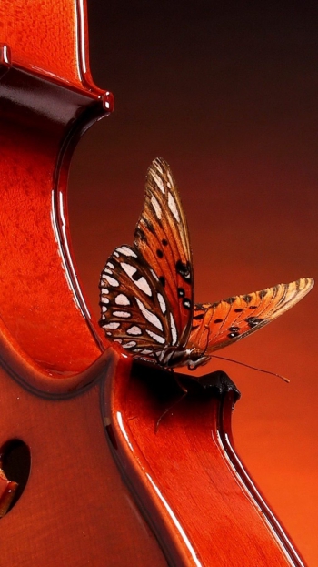 Любовь &mdash; наилучший способ ладить с другими