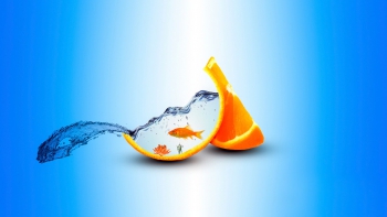 Здоровое тело &ndash; продукт здорового рассудка.