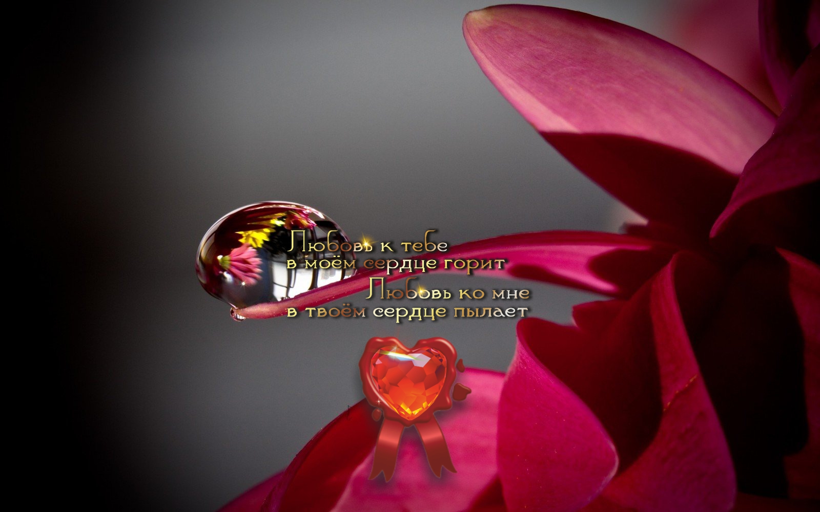 Честь для всех одна.