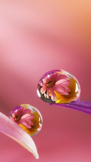 Забота о себе - это успех!